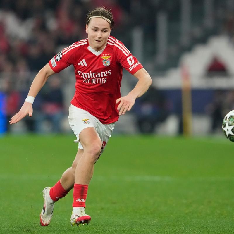 Schjelderup'ta Roma devrede