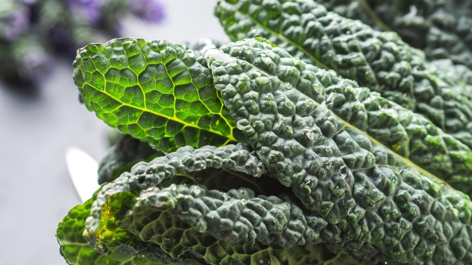 S�t� ve yo�urdu solluyor: Bu ye�illik kemikleri kaya gibi yap�yor