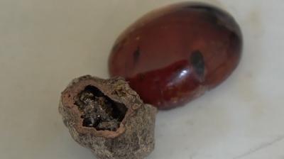 Kehribar ustas�ndan milyonlarca y�ll�k ke�if! Laboratuvarlara ba�vuracak