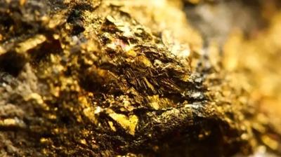 Net b�y�kl��� tam 1000 ton! �lkede resmen 