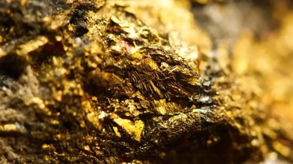 Tam 100 ton b�y�kl���nde! �lkede resmen 'alt�n' f��k�r�yor