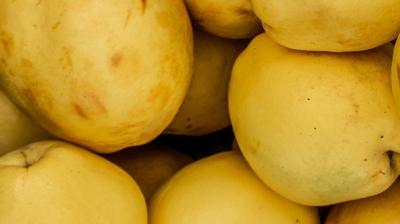 Ayva neden sert? Ayva nasıl yumuşatılır?