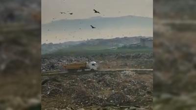 CHP'li belediyeden �evre katliam�... Bakanl�k harekete ge�ti