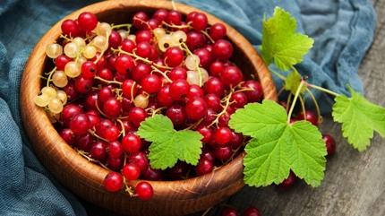 Y�l�n lezzeti se�ildi: Kanser ve iltihapla sava��yor