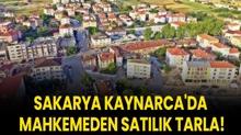 Sakarya Kaynarca'da mahkemeden sat�l�k tarla!
