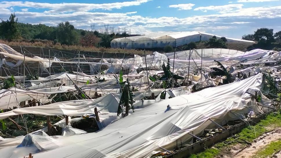 Antalya'da fırtına nedeniyle 14 sera kullanılamaz hale geldi