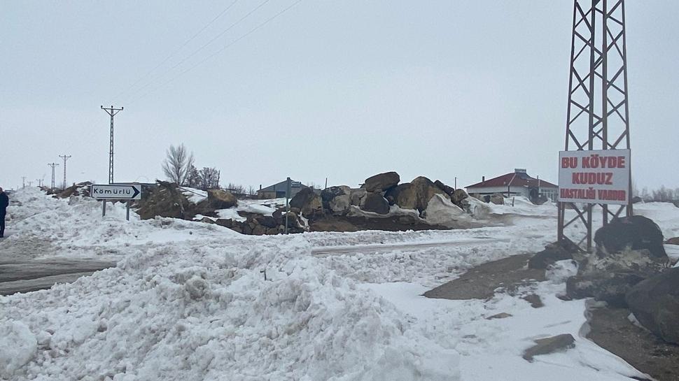 Kuduz alarmı: Bir köy karantinada