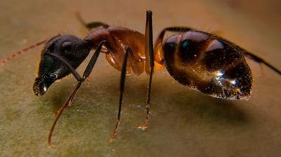 Buna dikkat eden ya�ad�! Eve kar�nca u�ram�yor