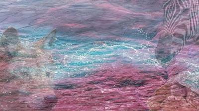 Kişilik testi: Resimde ilk gördüğünü seç! Zekan mı yoksa liderlik yapın mı güçlü öğren...