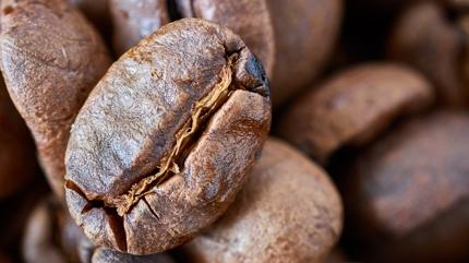 Tar��n kadar etkili: Kan �ekeri dengede, sa�l���n�z zinde