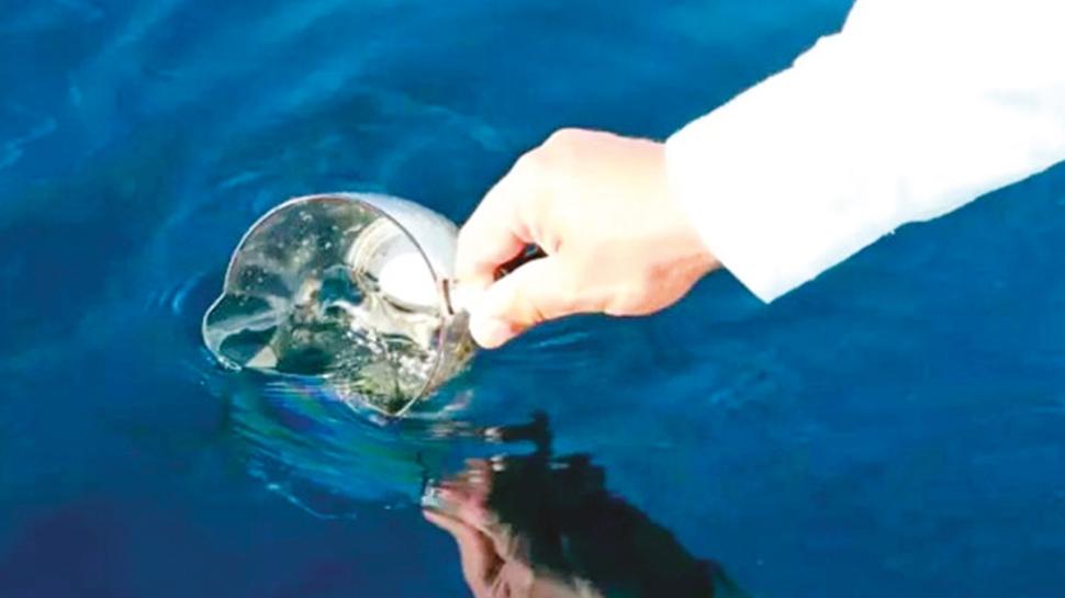 Rize'de petrol heyecanı... Sızıntı analizleri olumlu çıktı