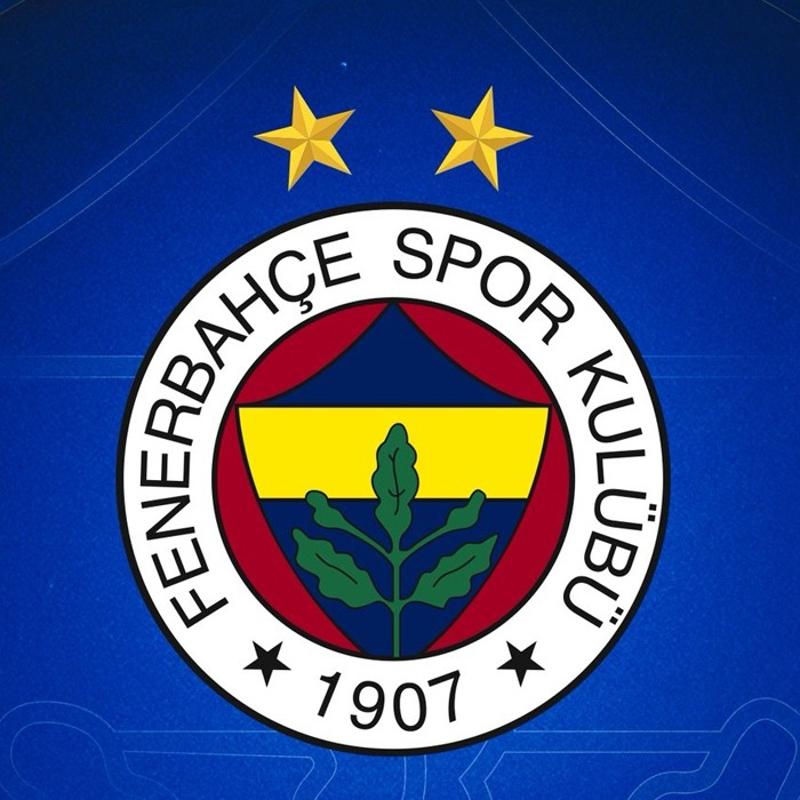 Fenerbah�e Opet'te Alperi Onar, sakatland�