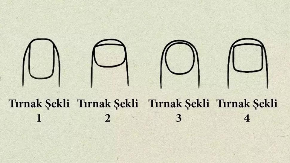 Ki�ilik testi: T�rnak �eklin ele veriyor! Se� ve nas�l bir lider olursun ��ren...