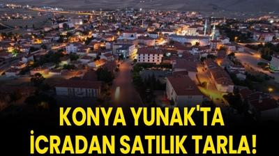 Konya Yunak'ta icradan sat�l�k tarla!