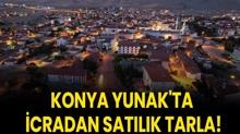 Konya Yunak'ta icradan sat�l�k tarla!