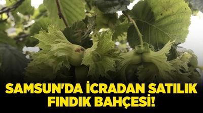 Samsun Sal�pazar�'nda icradan sat�l�k f�nd�k bah�esi!