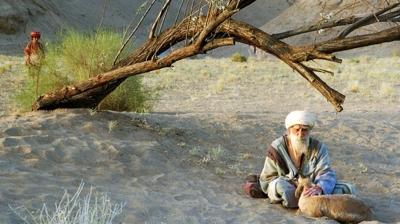 �Y� H�SSETT�REN F�LMLERE G�R��: ��FALI F�LMLER K�TABI