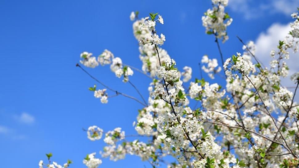 2026 havalar ne zaman �s�nacak? So�uk havalar ne zaman bitecek?