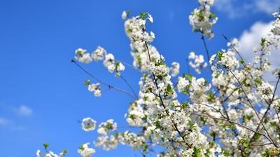 2026 havalar ne zaman �s�nacak? So�uk havalar ne zaman bitecek?