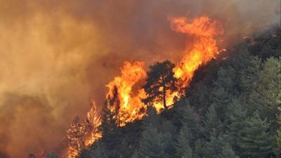 Mersin'de tarlada yang�n pani�i: Vatanda�lar ekiplere destek oldu