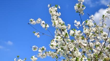 2026 havalar ne zaman �s�nacak? So�uk havalar ne zaman bitecek?