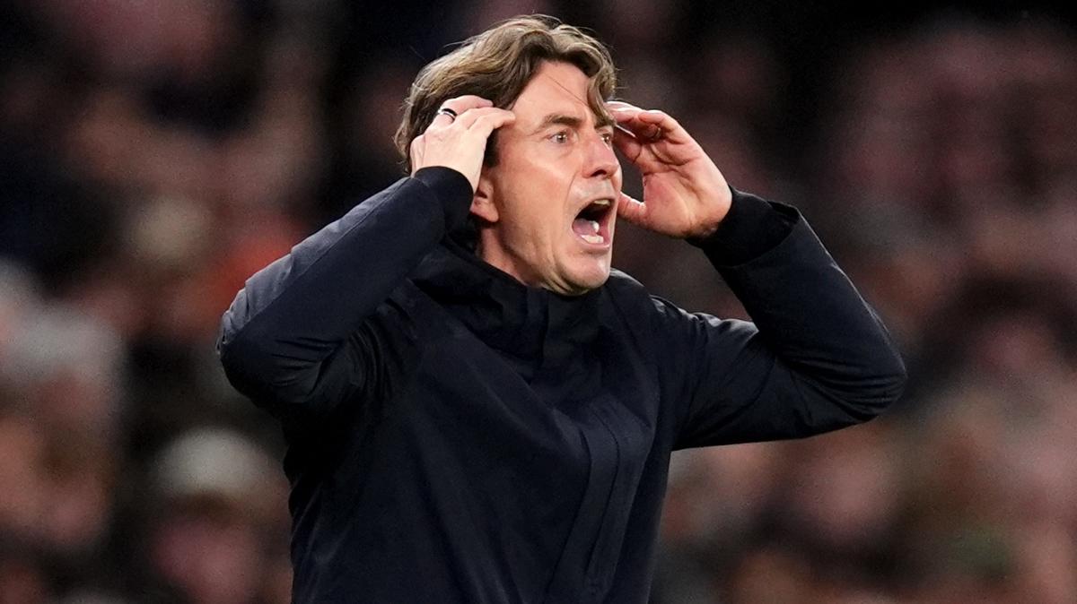 tottenham premier lig west ham united foto�raflar� resimleri