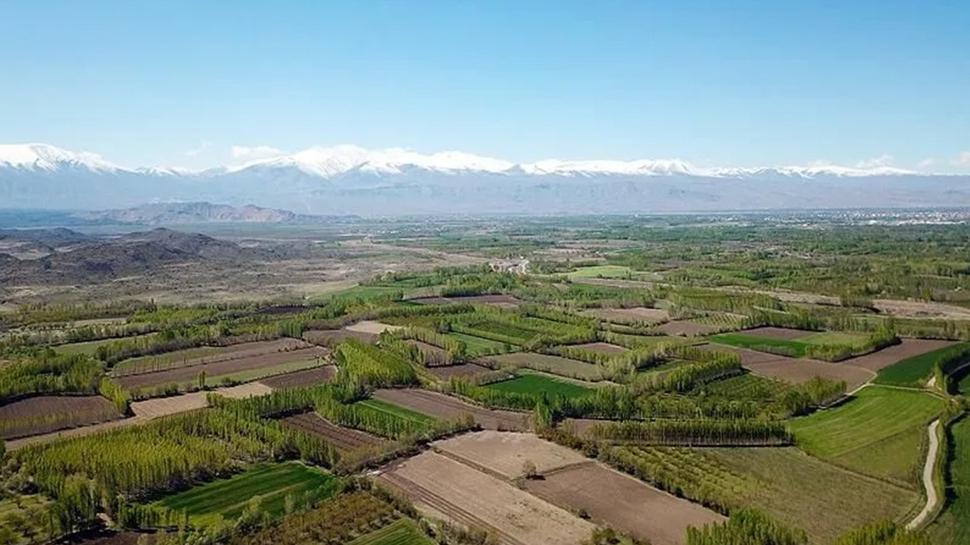 TOK� resmen duyurdu: 29 ilde arsa sat�lacak! Y�zde 25 pe�inat, 48 ay vade imk�n�