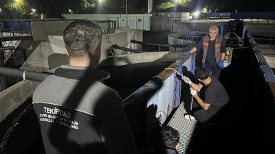 �evre katilleri cezadan ka�amad�