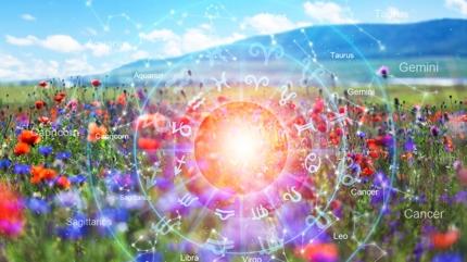 Entelekt�el ve zeki bur�lar: Onlar k�lt�r abideleri