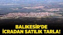 Bal�kesir Havran'da icradan sat�l�k tarla!