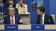 Trump ile Rutte aras�nda Gr�nland temas�