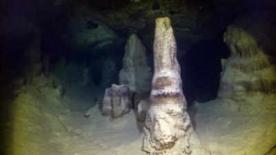 Bu el tarihi yeniden yazd�rabilir! 67 bin 800 y�ll�k iz bilim d�nyas�n� heyecanland�rd�