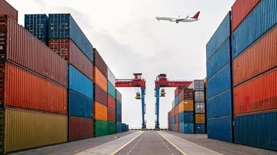 G�mr�klerde taklit av�: 10 y�lda 26 bin ba�vuru