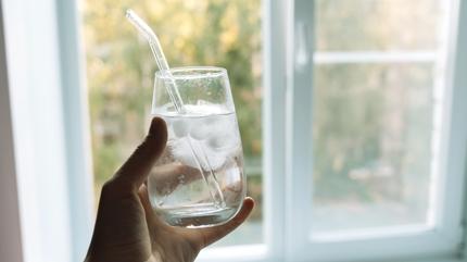 Plasti�e alternatif cam pipet sa�l�kl� m�?