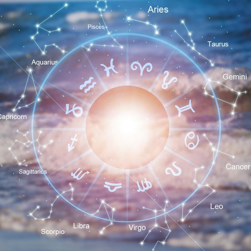 En becerikli ev han�m� bur�lar: Onlar�n elinden her i� geliyor