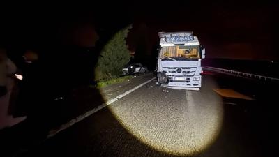 Otoyolda can pazar�: �n�ne k�pek ��kan 2 t�r �arp��t�