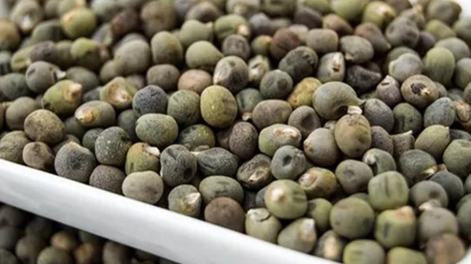 Bir besin bin fayda! Kilo verdiriyor, haf�zay� �elik gibi yap�yor