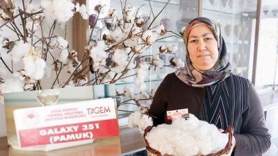 Adana i�in yeni dayan�kl� pamuk