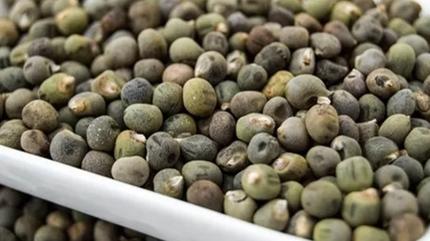 Bir besin bin fayda! Kilo verdiriyor, haf�zay� �elik gibi yap�yor