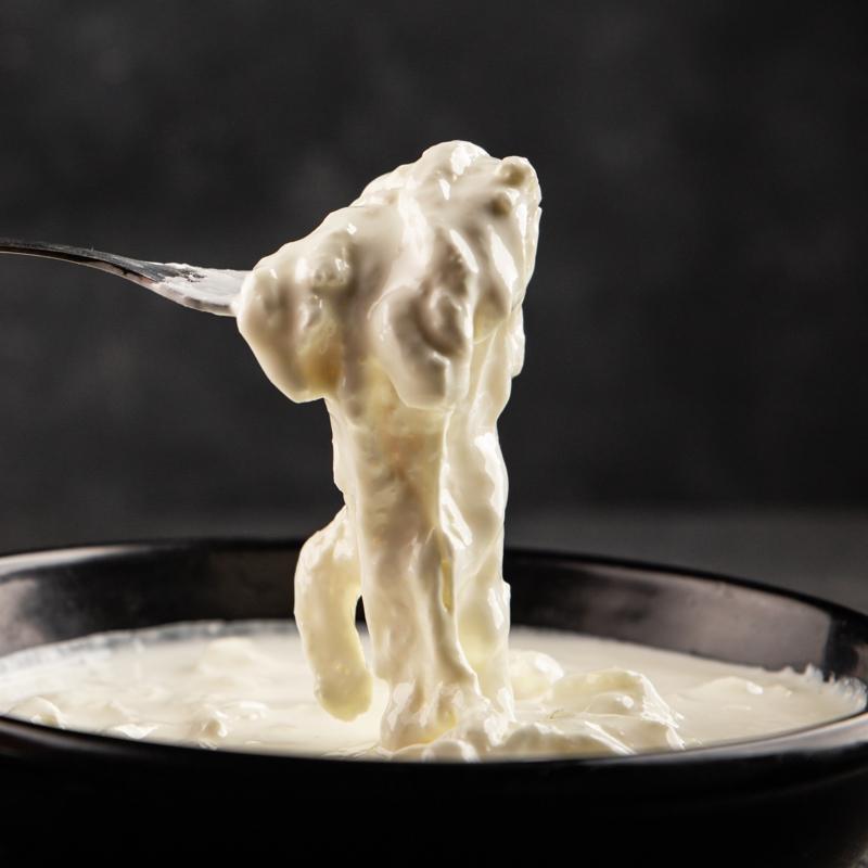 V�cuttaki proteini 10'a katlayan besin! Tam bir vitamin deposu