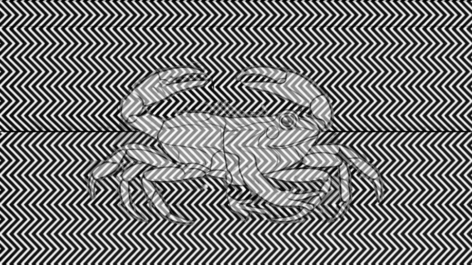 Ki�ilik testi: Resimde ilk kurba�a m� yenge� mi g�rd�n? Cimri misin bonk�r m� ortaya ��k�yor