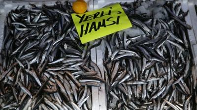 Hamsi tezgaha geri d�nd�