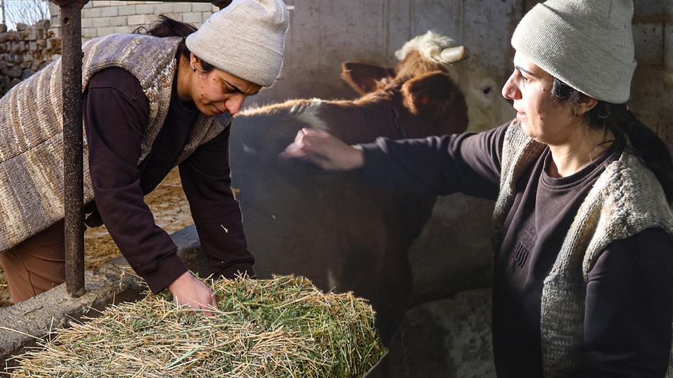 2 inekle ba�lad�! Devletten destek ald�, i�leri b�y�tt�: �imdi 160 hayvan� var