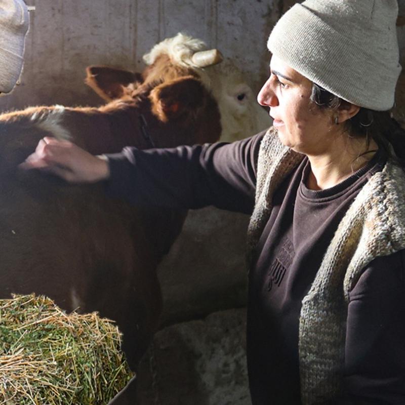 2 inekle ba�lad�! Devletten destek ald�, i�leri b�y�tt�: �imdi 160 hayvan� var