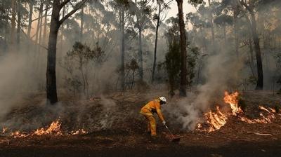 Avustralya'daki yang�nlarda tar�m arazileri zarar g�rd�