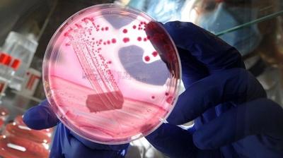 Pankreas kanseri tedavisi i�in umut