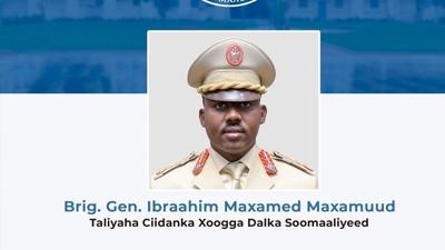 Somali ordusu, T�rkiye mezunu komutana emanet