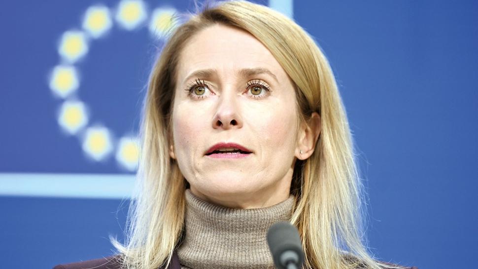 �D�nyada orman kurallar� hakim'