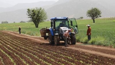 214 projeye 1,7 milyar lira hibe verilecek