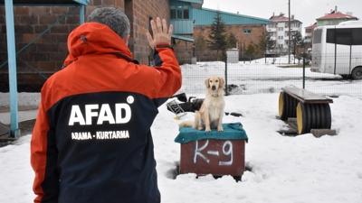 Depremde yaral� patileriyle 6 ki�iyi kurtaran 